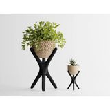 Triova Dekoratif Saksı - Siyah Ayaklı Modern Bitki Saksısı 36 cm - 180x160x365mm - Bej