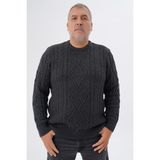 Trist Star Büyük Beden Erkek Baklava Yürütmeli Saç Örgülü Bisiklet Yaka Yün Kazak TRIST-2121 - Koyu Gri - 4XL