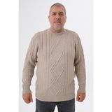 Trist Star Büyük Beden Erkek Düz Yaka Bisiklet Yaka Vizon Renk Yün Kazak TRIST-2121 - 6XL