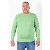 Trist Star TRIST-2101 Fıstık Yeşili Erkek Kazak