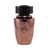 Triumphant Bronze Glory EDT 100 ml Erkek Parfüm