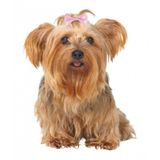 Trixie 2296 4 - 5.5 cm Köpek Saç Tokası