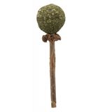Trixie 42430 11 cm Matatabi Ve Kediotlu Kedi Oyuncağı
