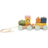 Trixie Ahşap Oyuncak Mini Tren Seti - Standart