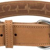 Trixie Kalın Deri Köpek Boyun Tasması 55-65 Cm 40mm L-xl Kahverengi