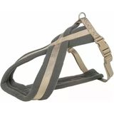 Trixie Premium Köpek Yürüyüş Göğüs Tasması L 60-100 Cm / 25 MM Kum Beji