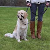 Trixie Uzman Eğitim M Boy 27 cm Köpek Tasması
