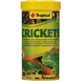 Tropical Astacolor 250 gr Açık Balık Yemi