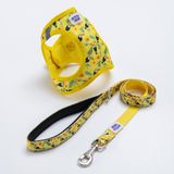 Tropical Breeze Göğüs Tasması ve Sevk Kayışı Tasma Seti Papağan Desenli Kedi Köpek Göğüs Tasması Seti