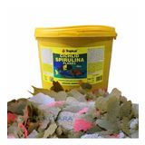 Tropical Cichlid Spirulina Flakes 500 Gram Pul Balık Yemi