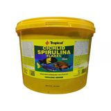 Tropical Cichlid Spirulina Flakes Pul Balık Yemi 500 G