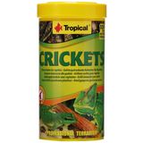 Tropical Crickets Kurutulmuş Balık Yemi 250ml 25gr