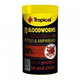 Tropical Fd Blood Worms Kan Kurdu 17 Gr