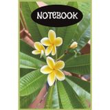 Tropical Flower Notebook | for nature lover|: Beautiful Plumeria Design | 100 pages |6x9 "| lined journal for daily writing