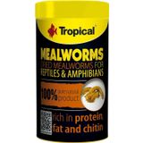 Tropical Meal Worms 250 ml 30 Un Kurdu Sürüngen Yemi