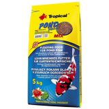 Tropical Pond Pellet Mix Size S 100 Gr (Açık) Japon Ve Koi Havuz Balık Yemi Skt: 10/2028