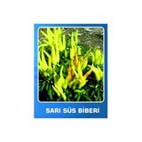 Tropical Sarı Süs Biberi Tohumu 100 Adet