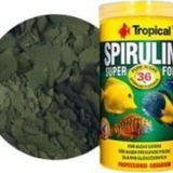 Tropical Spirulina Super Forte Pul 100GR.