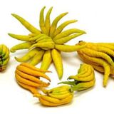 Tropik Market BUDA'NIN ELİ (Torbalı-80 cm üzeri) Kaçırma!!!!