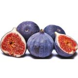 Tropik Market Bursa Siyahı İNCİR Fidanı (Tüplü)