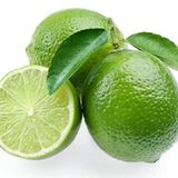 Tropik Market Dikensiz MEXİCAN LİME Limon Fidanı NADİR ÇEŞİT 5 YAŞLI TÜPLÜ