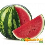 Tropik Market Karpuz Tohumu Crimson Sweet 10 gr Paket