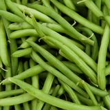 Tropik Market Kılçıksız Börülce Tohumu 50 gr (Paket)