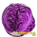 Tropik Market Mor Lahana (Kara) Tohumu 25 gr (Paket)