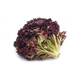 Tropik Market Mor Marul Tohumu 1 Paket (50 Adet)