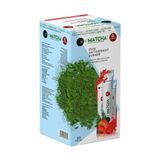 Tropik Market Orijinal Bandrollü Matcha Premium Japanese Toz Maça Çayı 20 x 10 G