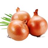Tropik Market Soğan (Banka-Banko) Tohumu 5 gr Paket