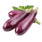 Tropik Market Yamula Çizgili Alacalı Patlıcan Tohumu 10 gr Paket