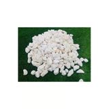 Tropikal Akvaryum – Fanus – Teraryum Beyaz Renk Dekor Taşları 8-10 Mm 1 Kg