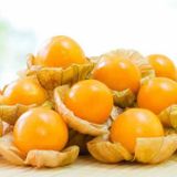 Tropikal Güney Feneri Tohumu 5 Tohum + Saksı+Toprak+Hediye Tohum