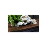 Tropikal Lav Kırığı 1 Kg 8-10 Mm Iriliğinde Yıkanmış