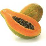 Tropikal Meyve Papaya Ağacı Tohumu 3 Adet Tohum