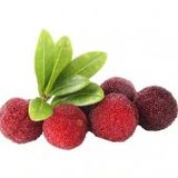 Tropikal Myrica Çin Çileği Tohumu Ekim Seti 2 Tohum +Saksı+Toprak