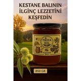 Troya Arıcılık Gıda Troya Kestane Balı 850 G - 850 gr