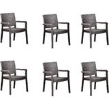 Troya Rattan Koltuk Kahverengi | 6'li Set - Çok Renkli