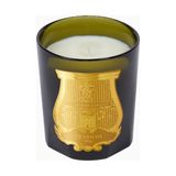 Trudon Solis Rex Classic Lüks Kokulu Mum, 60 Saat Yanma Süresi - Yeşil - 270 g