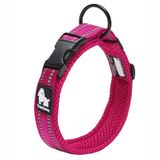 TRUE LOVE Köpek Tasması Yansıtıcı Premium Duraflex Toka, Yüksek Dereceli Naylon Dokuma Şok Yok Temel Yaka TLC5011 (Fuşya, XL)