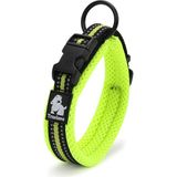 True Love Mesh Yumuşak Süngerli Neon Sarı Köpek Boyun Tasması