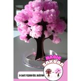 True Tree Sihirli Japon Sakura Ağacı - 24 Saatte Yeşeren Dekoratif Bitki Seti - Magic Tree Sakura
