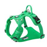 Truelove True Love köpek koşum takımı, çekmez, ayarlanabilir, yansıtıcı, yumuşak naylon, küçük ve büyük evcil hayvanlar için, TLH56512 (XL, çim yeşili)