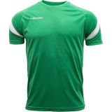 Tryon Erkek Antrenman T-Shirt Evo Pro 1018056 - Yeşil - XL