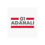 TSC 01 Adanalı Plaka Araba Sticker Yapıştırması Çok Renkli, EYh1Y7