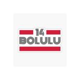 TSC 14 Bolulu Plaka Araba Sticker Yapıştırması Çok Renkli, EYh1Y10