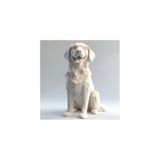 TSC 15CM Golden Retriever Biblosu Dekoratif Heykel – Modern Ev İç Mimari Aksesuar