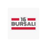 TSC 16 Bursalı Plaka Araba Sticker Yapıştırması Çok Renkli, EYh1Y13