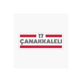 TSC 17 Çanakkaleli Plaka Araba Sticker Yapıştırması Çok Renkli, EYh1Y16